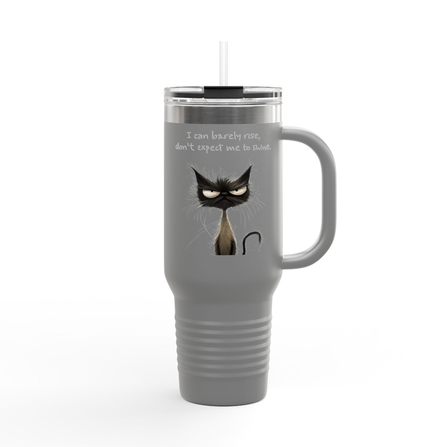 Travel Mug - Grouchy Whimsical Cat, Funny Snarky Saying, 40oz