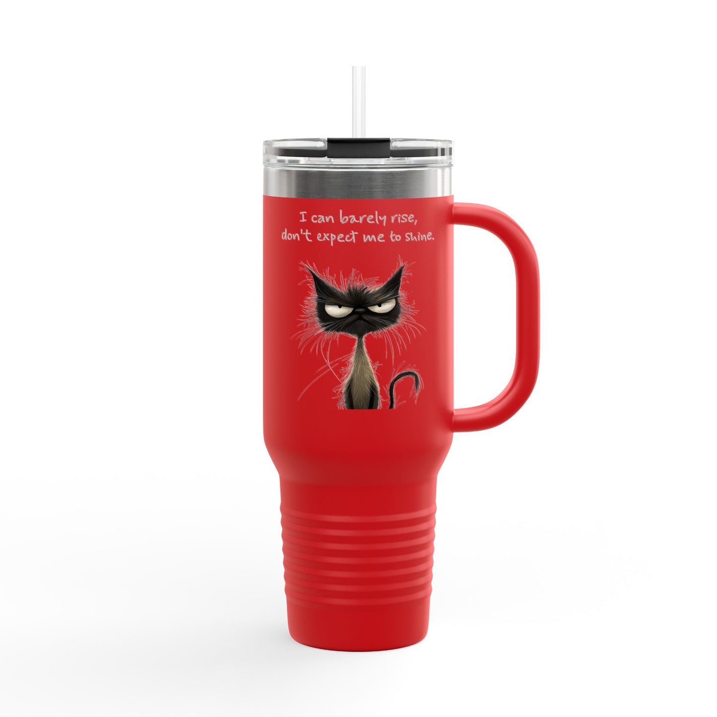 Travel Mug - Grouchy Whimsical Cat, Funny Snarky Saying, 40oz