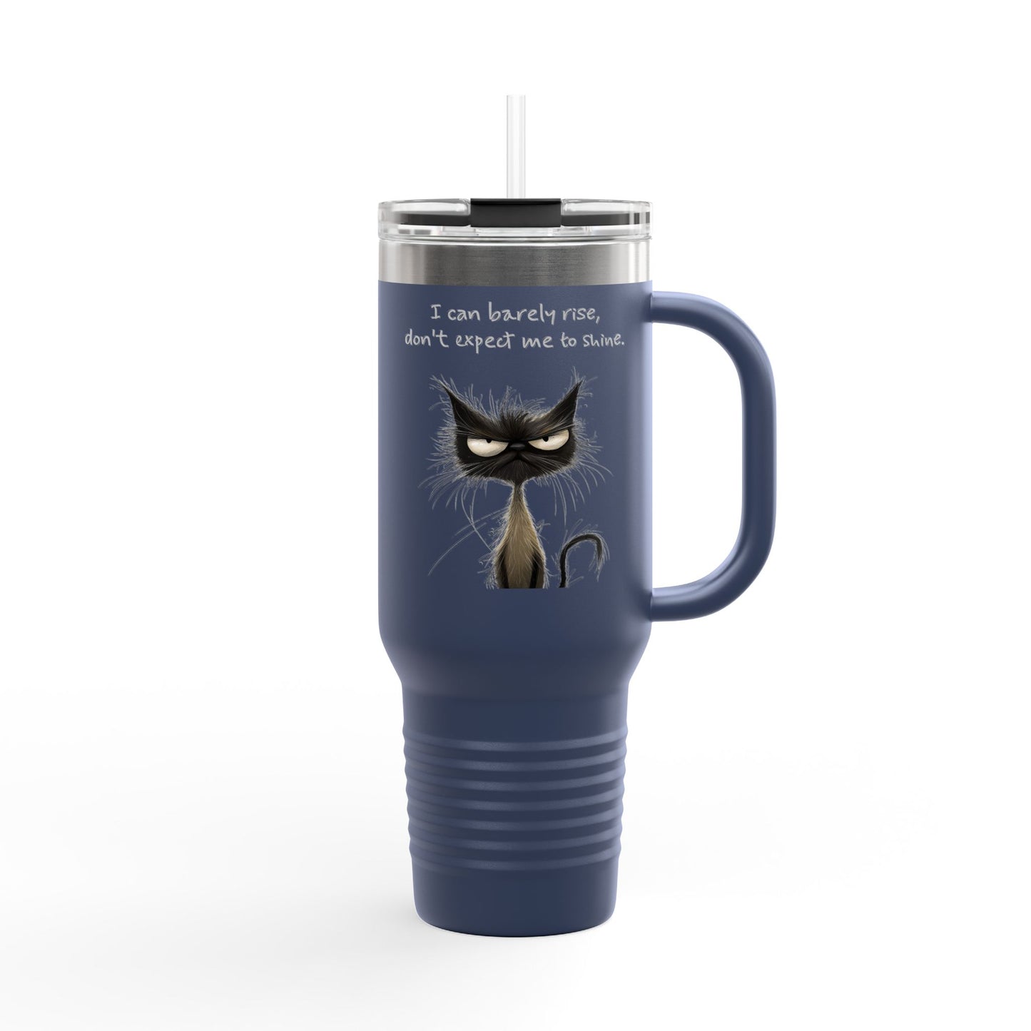 Travel Mug - Grouchy Whimsical Cat, Funny Snarky Saying, 40oz